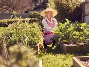 Le jardinage, indispensable à notre bien-être