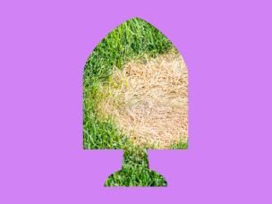 Patchy lawn