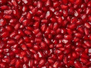 Companion Planting for Fruit & Citrus Trees