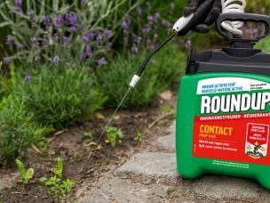 Roundup® Belgique Désherbant: FAQ | Ilovemygarden