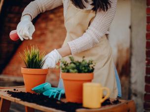 Using potting mix
