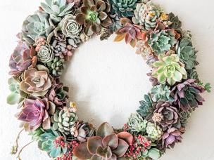 Christmas Succulent Wreath