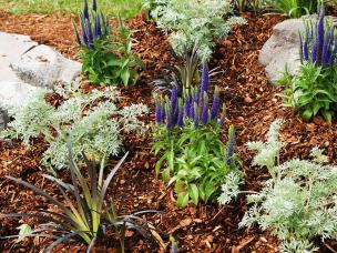 Finish your garden with decorative bark | Love The Garden