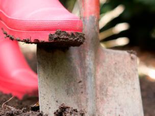 How to improve border soil
