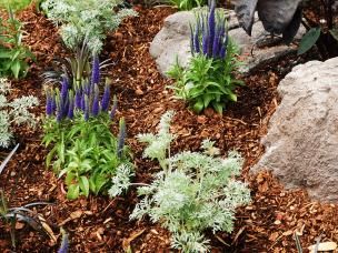 Paillage Au Jardin