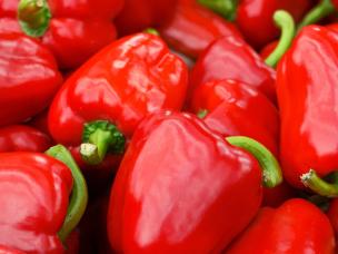 How to grow peppers