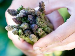 Raised beds: start to grow your own vegetables