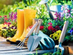 Outils De Jardinage