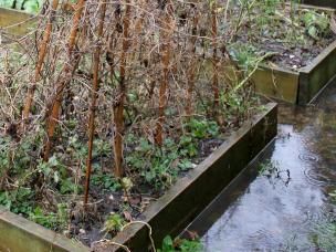 Flooding and waterlogging