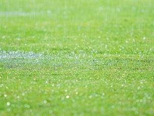 Garden drainage - prevent waterlogging with this useful guide