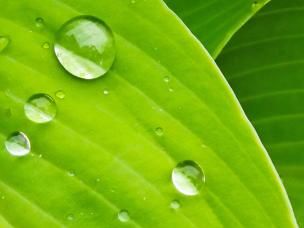 Making the best use of water