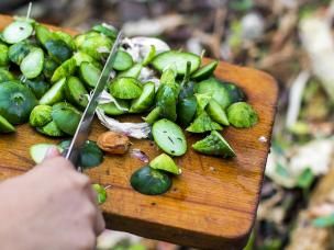 Un Jardin Potager Bio