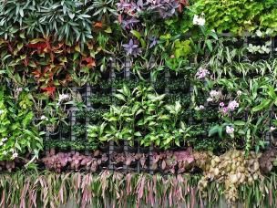 Make your own vertical garden