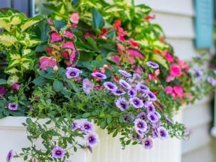A guide to using pots, tubs and window boxes