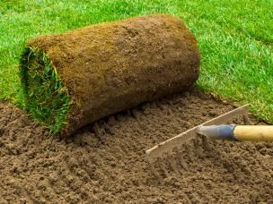 Lawn Care Calendar - Gardening tips