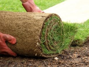 How to lay turf