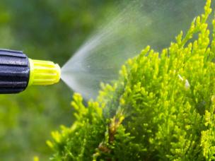 Pesticide usage, storage and disposal