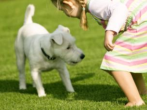 Pesticides and children, pets and wildlife