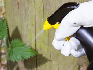 Top ways to treat weeds