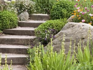 Organiser Son Jardin