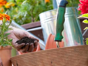 Add value to your house - sort out your garden