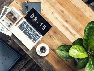 The best office plants for happy workers