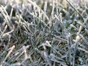 Get your garden ready for winter
