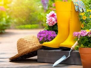 Getting your garden ready for summer