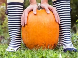 How to grow pumpkins for Halloween