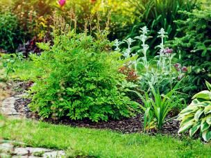 Climat Et Exposition Du Jardin