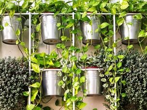 Vertical gardening ideas