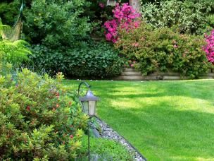 Plants for shade