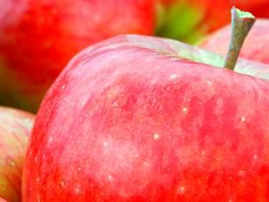 Apples (Malus domestica)