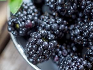 Blackberries (Rubus)
