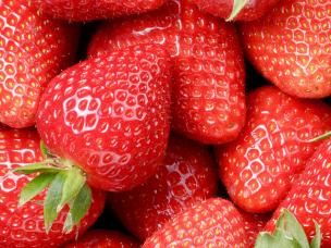 Fruitiers Et Petits Fruits