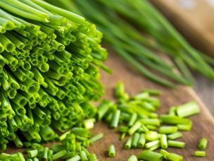 Chives (Allium Schoenoprasum)