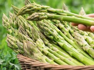 Asparagus (Asparagus officinalis)