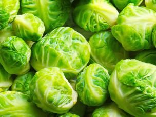 Brussels Sprouts (Brassica oleracea)