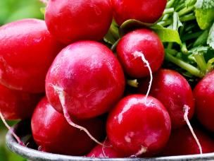 Radishes (Raphanus sativus)