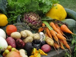 Community vege harvest