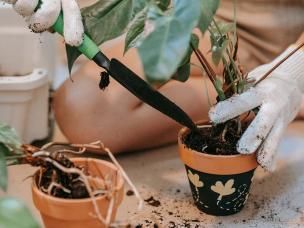 Aanplanten met universele potgrond - Planter avec terreau universel - Love The Garden