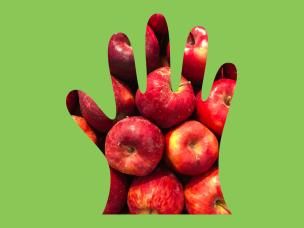 The Right Fruit For Your Climate Zone