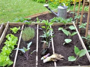 April planting and harvesting guide