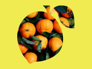 Essential Guide to Growing Citrus