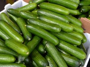 concombres de plus en plus