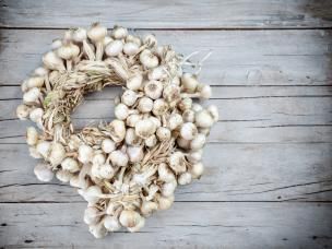 culture de l'ail