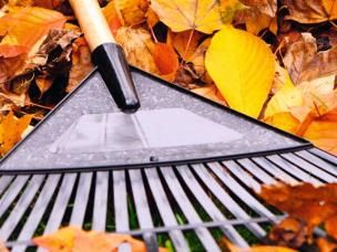 Plænepleje om efteråret