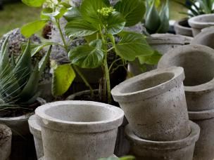 Scotts Osmocote Professional Multi Purpose Potting Mix