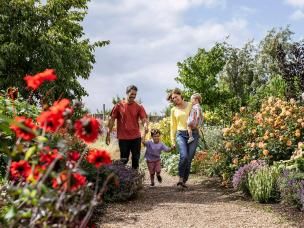 Floral Fantasia at RHS Garden Hyde Hall