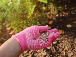 understanding fertilisers